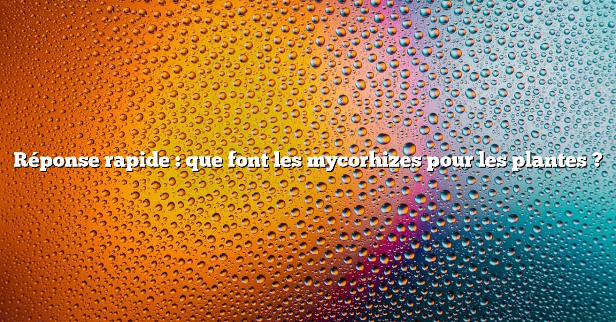 Réponse rapide : que font les mycorhizes pour les plantes ?